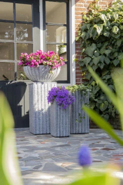 Plantenschaal Arkansas - D28 X H11.5cm - Lichtgrijs -Planten Verkoop arkansas bowl low washed grey d28h115 bloempot 7 9