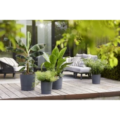 Bloempot Elho Greensense Aqua Care Rond - D35 X H34cm - Houtskoolgrijs -Planten Verkoop bloempot elho greensense aqua care rond d35 x h34cm houtskoolgrijs bloempot 5 1