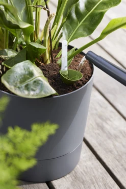 Bloempot Elho Greensense Aqua Care Rond - D35 X H34cm - Houtskoolgrijs -Planten Verkoop bloempot elho greensense aqua care rond d35 x h34cm houtskoolgrijs bloempot 6 1