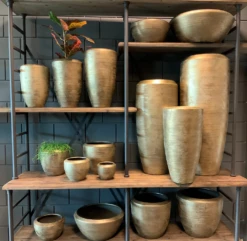 Plantenschaal Kos - D25 X H16cm - Goud -Planten Verkoop bloempot kos serie goud bloempot 3 1 3