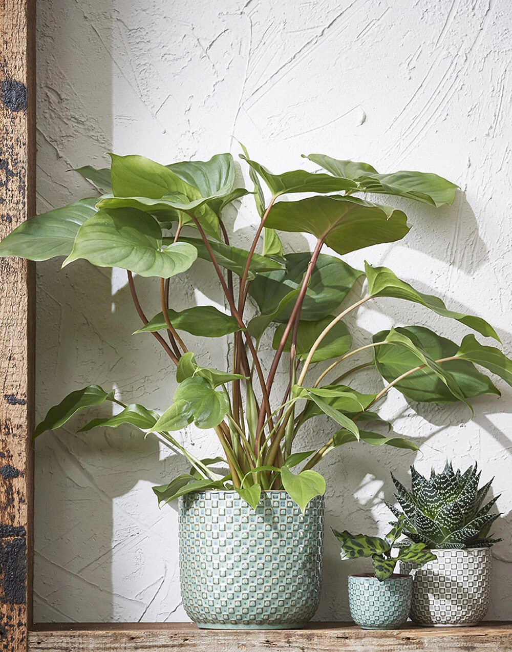 Bloempot Daan - D19 X H17.5cm - Blauw 2 Bloempot Daan - D19 X H17.5cm - Blauw - Afbeelding 2