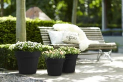 Bloempot Elho Green Basics Top Planter 40cm - Living Black -Planten Verkoop green basics top planter 40cm bloempot living black 7 13