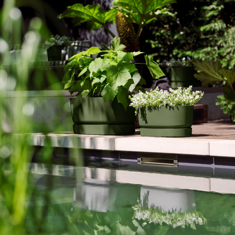 Planten Verkoop -Planten Verkoop greenville terrace trough 80cm wheels 360i3