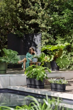 Bloembak Elho Greenville Terrace Long 70cm - Met Wielen - Living Black -Planten Verkoop greenville trough long 70 plantenbak living black 6 13