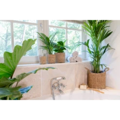 Plantenmand Joris - D33 X H31cm - Naturel 5 Plantenmand Joris - D33 X H31cm - Naturel -Planten Verkoop plantenmand joris naturel plantenmand 3