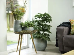 Bloempot Ryan - D36 X H32cm - Shiny Blue 5 Bloempot Ryan - D36 X H32cm - Shiny Blue -Planten Verkoop pot ryan shiny blue keramiek d36 h32 bloempot 7 10