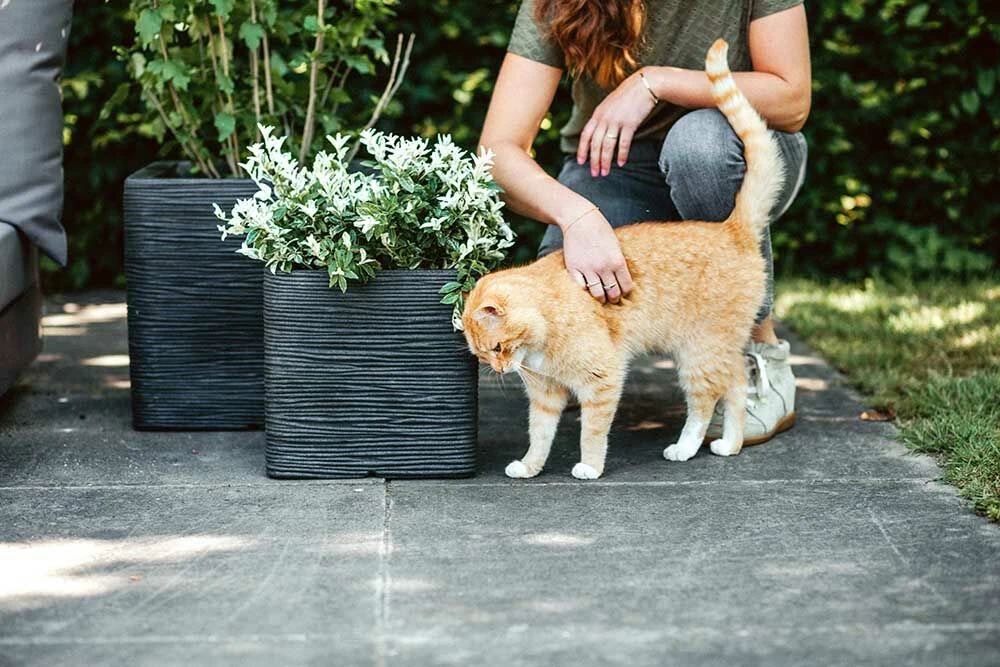 Capi Plantenbak Vierkant Nature Rib NL - L30 X B30 X H30cm - Zwart 3 Capi Plantenbak Vierkant Nature Rib NL - L30 X B30 X H30cm - Zwart - Afbeelding 3