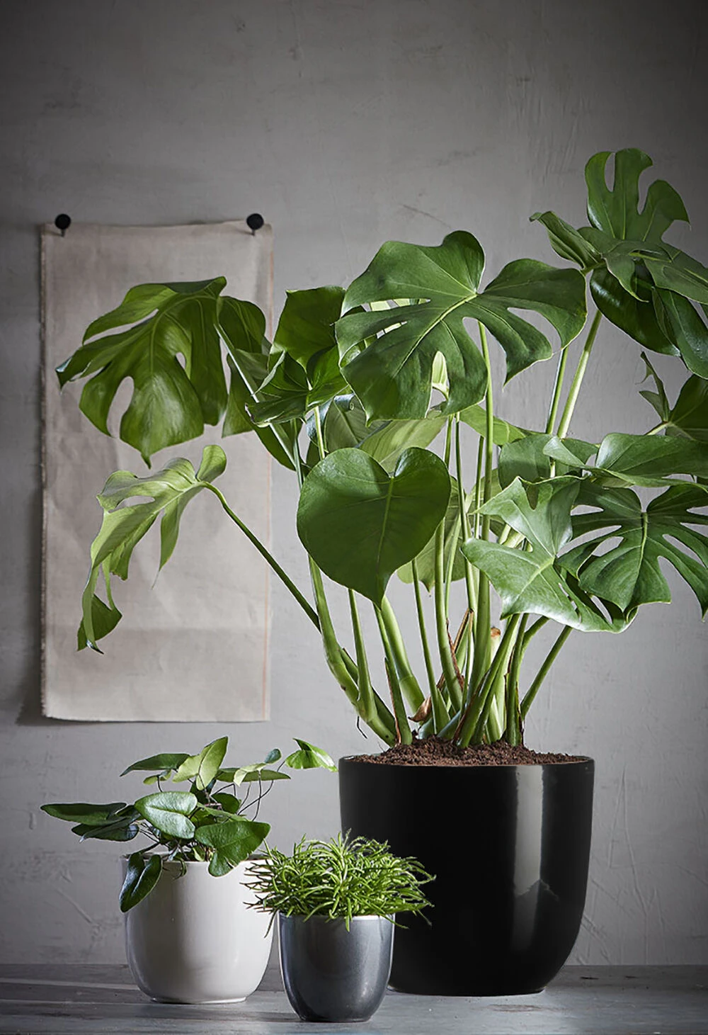 Bloempot Tusca - D31 X H28.5cm - Zwart 2 Bloempot Tusca - D31 X H28.5cm - Zwart - Afbeelding 2