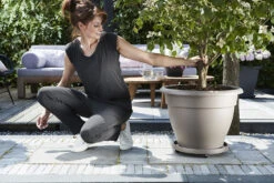 Plantentaxi Elho Universeel 30cm - Antraciet -Planten Verkoop universele planttaxi 30cm schotel antraciet 6 11